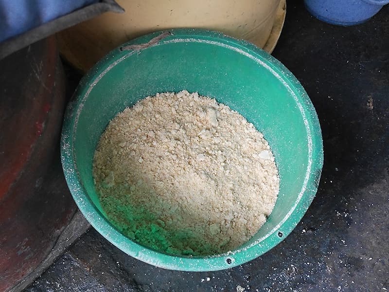 呉汁を作るための大豆を擦り潰したもの