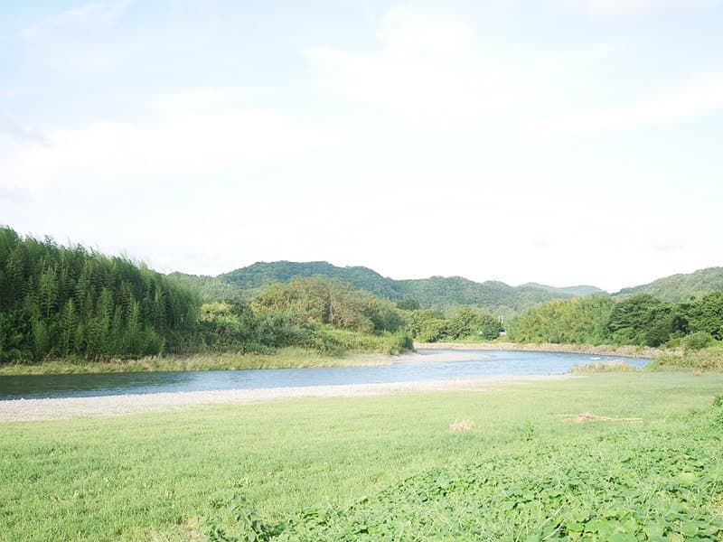 漆掻きの取材をして